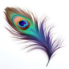 peacock feather on a white background сreated with Generative Ai