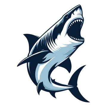 recommend clip art: Angry wild great white shark vector illustration, marine predator animal element illustration, swimming toothy shark design template isolated on white background