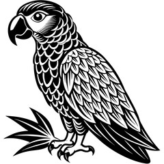 african-grey-parrot-icon-vector-illustration