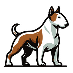 Obraz premium Bull terrier dog full body vector illustration, cute adorable funny pet animal, standing purebred dog concept design template isolated on white background