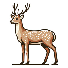 Fototapeta premium Deer full body design illustration, standing reindeer with antlers illustration, wild mammal animal concept. Vector template isolated on white background