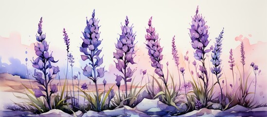 lavender flowers in watercolor style. Watercolor background. - obrazy, fototapety, plakaty