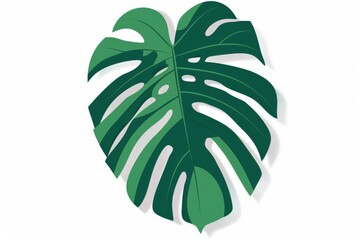 Fototapeta na wymiar Green monstera leaf vector illustration in flat style
