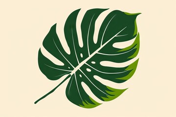 Green monstera leaf vector illustration in flat style