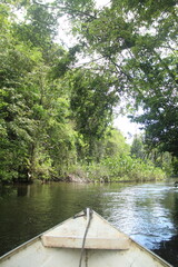 barco navegando em rio amazônico, em amapá 