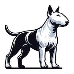 Bull terrier dog full body vector illustration, cute adorable funny pet animal, standing purebred dog concept design template isolated on white background