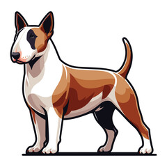 Bull terrier dog full body design illustration, standing purebred dog concept, cute adorable funny pet animal vector template isolated on white background