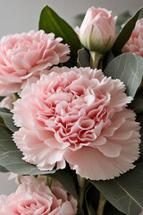 
Pink carnations and eucalyptus bouquet