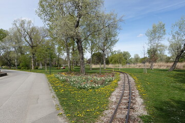花と公園と線路