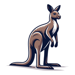 Kangaroo full body vector illustration, Australian mammal animal mascot character, wildlife zoology illustration. Design template isolated on white background