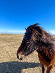 Beautiful Iceland Landscapes
