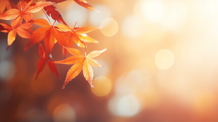 Brown and orange maple leaves wallpaper in autumn with blurred background