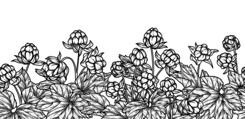 Fototapeta premium Seamless horizontal vector pattern of cloudberry garden in engraving style