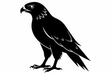 Fototapeta premium hawk bird silhouette black vector illustration