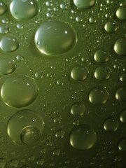 水玉