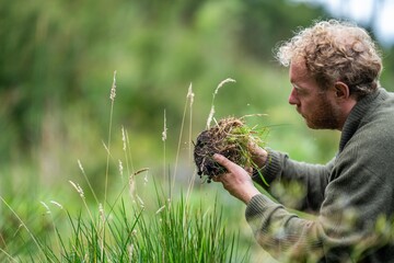 agricultural farmer Holding soil in a hand, feeling compost in a field in Tasmania Australia. soil...