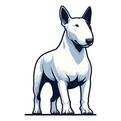 Obraz premium Bull terrier dog full body vector illustration, cute adorable funny pet animal, standing purebred dog concept design template isolated on white background