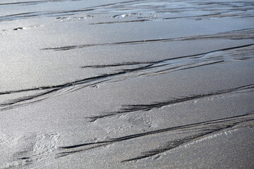 Sea weed patterns on the wet sand of Skarðsvík golden beach, Iceland