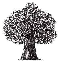 Oak tree silhouette, hand drawing, doodle, single, black, vector illustration isolated on white - 774970090
