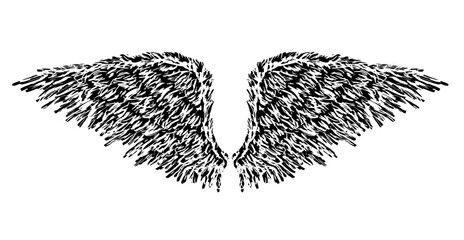 Wings, feathers, textured, hand drawn, pair, flight, freedom, angel, devil, vector illustration isolated on white - 774970220