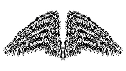  Wings, feathers, textured, hand drawn, two, freedom, flight, devil, angel, silhouette, vector illustration isolated on white - 774970232