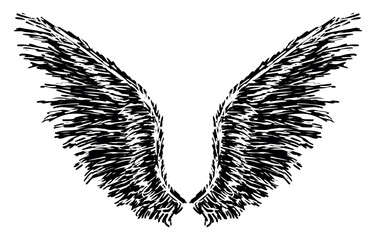 Wings, feathers, textured, hand drawn, two, flight, freedom,devil, angel, silhouette, vector illustration isolated on white - 774970262