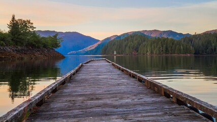 Naklejka premium Aerial view of bridge in lake surrounded by dense trees