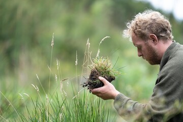 agricultural farmer Holding soil in a hand, feeling compost in a field in Tasmania Australia. soil...