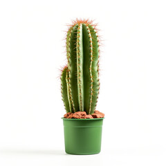 cactus on isolated white background сreated with Generative Ai