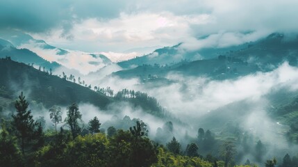 Fototapeta na wymiar A peaceful mountain landscape with fog blanketing th AI generated illustration