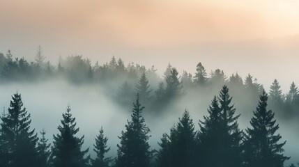 Fototapeta na wymiar A serene scene of foggy forest at dawn AI generated illustration