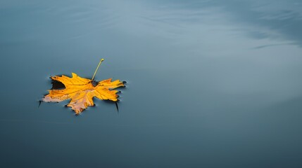 A solitary leaf floating on  calm pond AI generated illustration