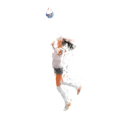 Fototapeta premium Volleyball player, low poly woman, isolated geometric illustration, side view. Female volleyball logo