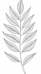 Fototapeta premium Palm leaf, thin stem. The leaf is dark green and has a slightly wavy texture.