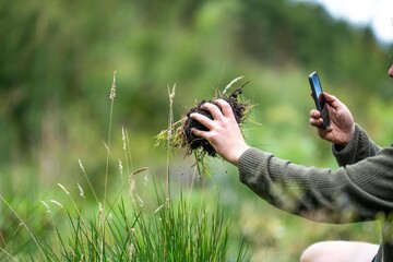 agricultural farmer Holding soil in a hand, feeling compost in a field in Tasmania Australia. soil...