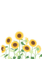 シンプルなひまわりの背景素材、縦向き、夏の壁紙、フレーム