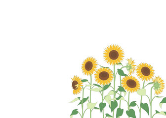 シンプルなひまわりの背景素材、横向き、夏の壁紙、フレーム