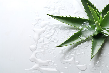 opened aloe leaf, its juice around on the white marble background, fresh feeling, aesthetical, much white space сreated with Generative Ai