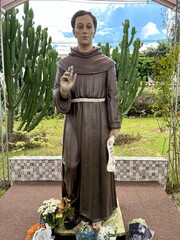 Imagem de São Frei Galvão