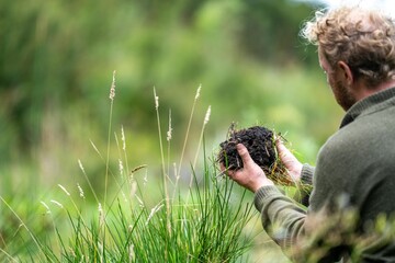 agricultural farmer Holding soil in a hand, feeling compost in a field in Tasmania Australia. soil...