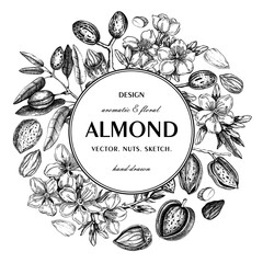 Almond nut wreath design.Blooming branches, nuts, flower sketches. Hand-drawn vector illustration. Botanical background. NOT AI generated