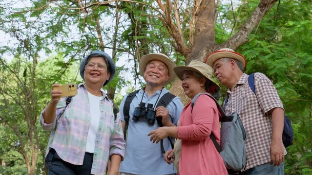 Senior retirement activity, Group of happy senior friends on forest excursion looking Map and compass and GPS at a mobile phone during vacation, Backpack tourist travel outdoor holiday adventure