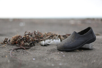 ビーチに打ち上げられた