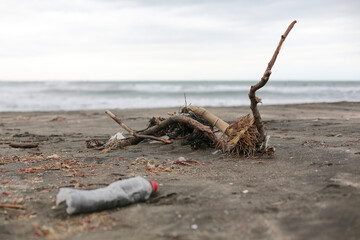 汚れたビーチ
