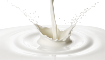 milk splash isolated on transparent background