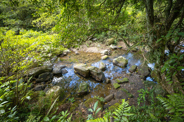 Naklejka na ściany i meble Lovely scene of a river corner, beautiful rocks full of moss lay down on the river, hidden in the forest, and sunlight shines between leafs, in Bengshankeng historical trail, New Taipei City, Taiwan.