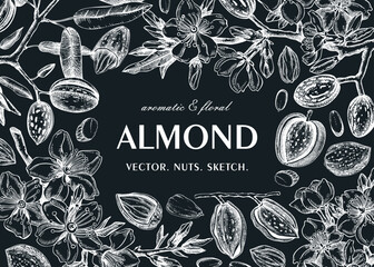 Almond banner design. Spring background. Blooming  branches, nuts, flower sketches in color. Healthy food hand-drawn illustration of almond nuts. NOT AI generated