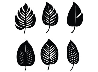 Palm banana leaf silhouette vector.
 - obrazy, fototapety, plakaty