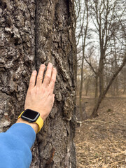 A man's hand touches the trunk of a huge tree in the park, a man is wearing a blue hoodie, a...