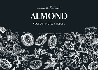 Almond banner design. Spring background. Blooming  branches, nuts, flower sketches in color. Healthy food hand-drawn illustration of almond nuts. NOT AI generated